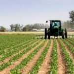Maroc : Les chiffres clés du HCP sur la croissance, la dette et le déficit (2026-2027)